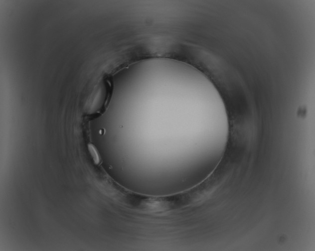 X0000096650221200802051203