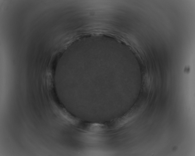 X0000096650222200802051203