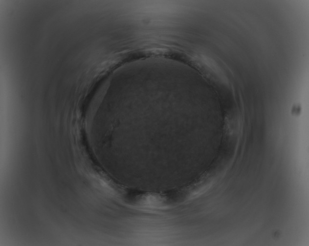 X0000096650223200802051203