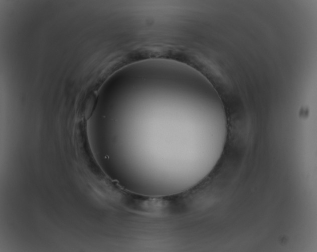 X0000096650225200802051203