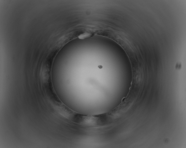 X0000096650226200802051203