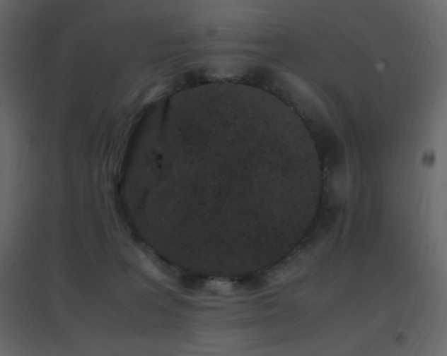 X0000096650227200802051203