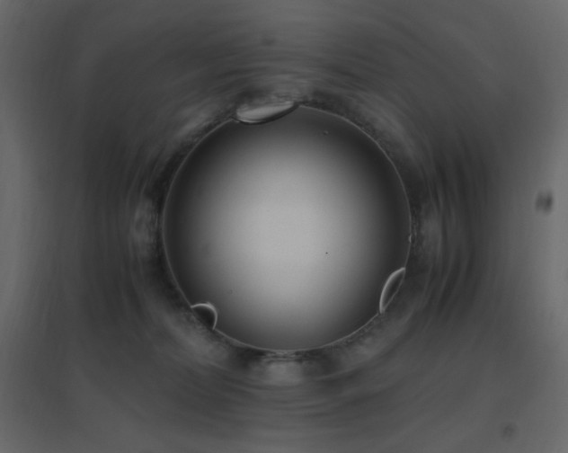 X0000096650228200802051203