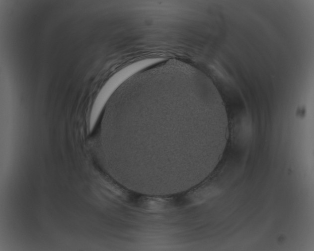 X0000096650229200802051203