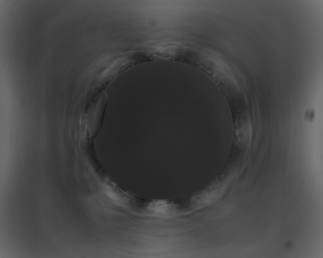 X0000096650231200802051203