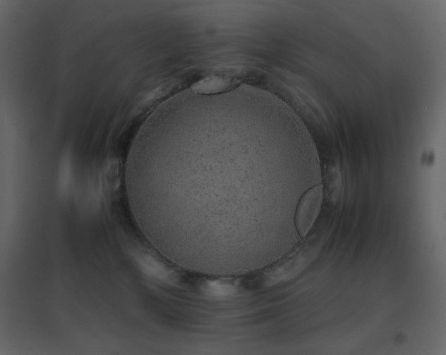X0000096650232200802051203