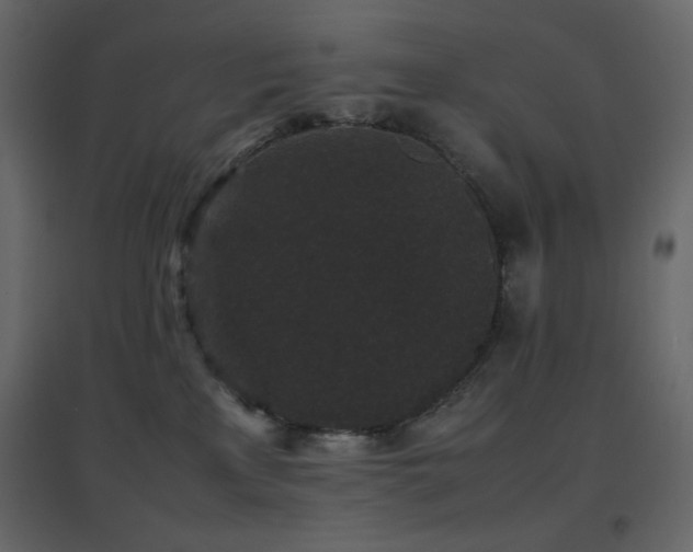 X0000096650233200802051203