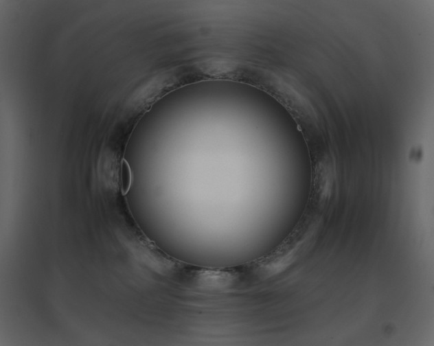 X0000096650234200802051203