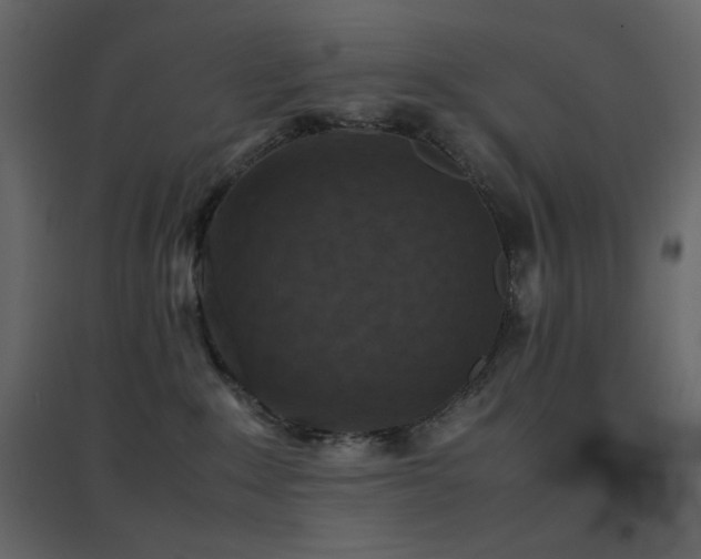 X0000096650235200802051203