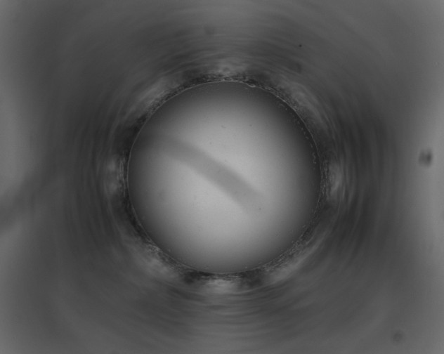 X0000096650236200802051202