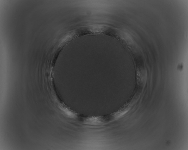 X0000096650237200802051202
