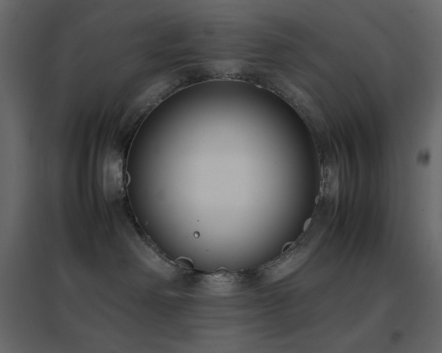 X0000096650238200802051202