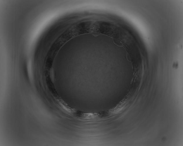 X0000096650239200802051202