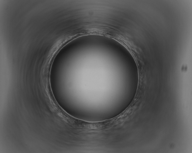 X0000096650241200802051201