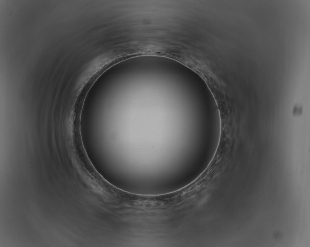 X0000096650242200802051201