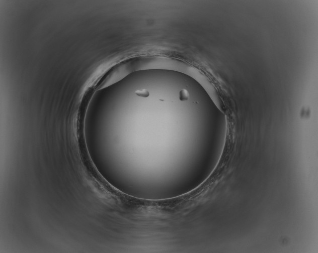 X0000096650244200802051201