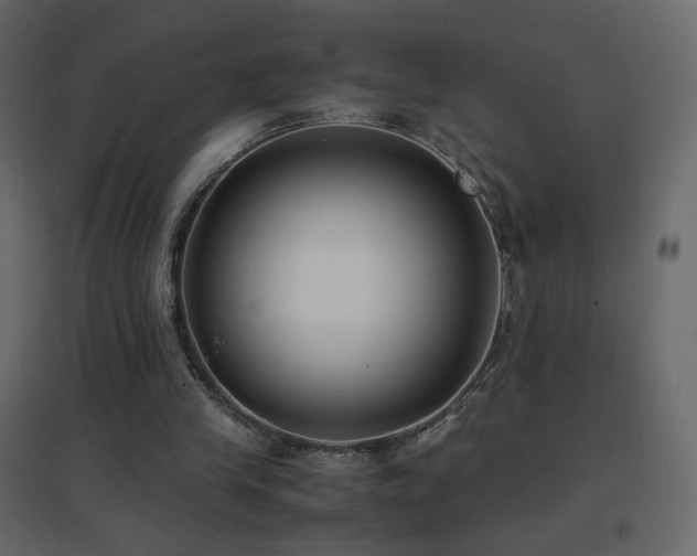 X0000096650245200802051201