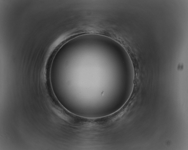 X0000096650246200802051201