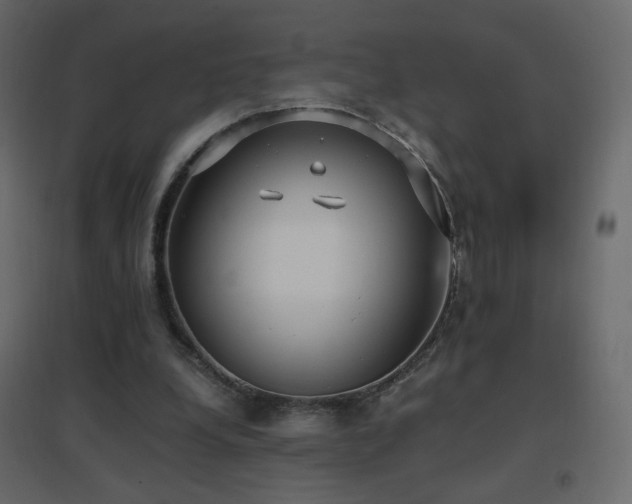 X0000096650248200802051202