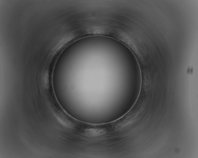 X0000096650251200802051202
