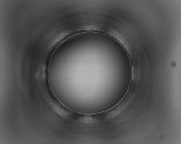 X0000096650253200802051202