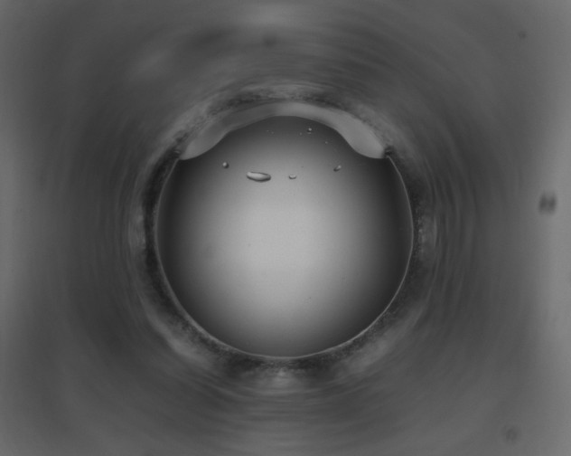 X0000096650254200802051202