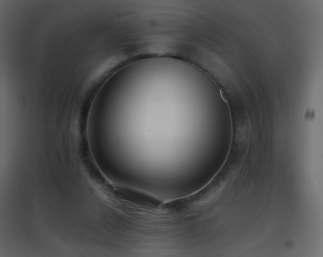 X0000096650256200802051202