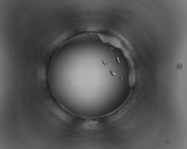 X0000096650257200802051202