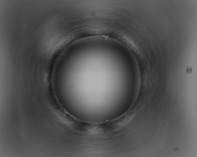 X0000096650258200802051202