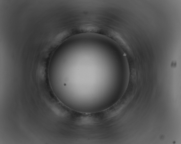 X0000096650259200802051202
