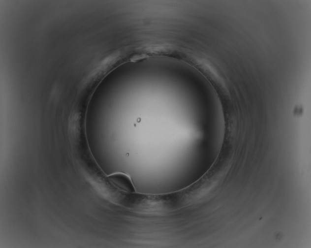 X0000096650260200802051202