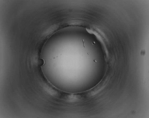 X0000096650261200802051202