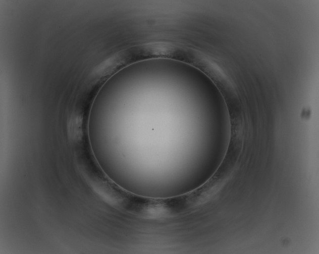 X0000096650262200802051202
