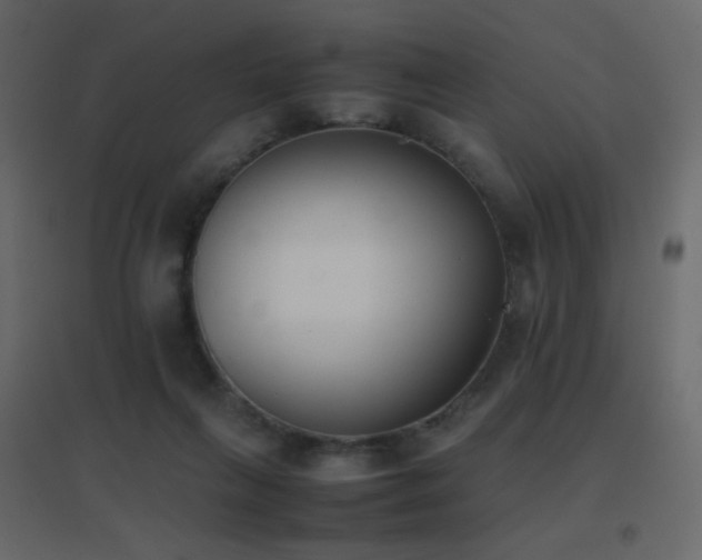X0000096650263200802051202