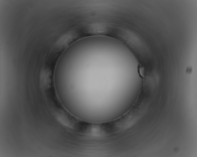 X0000096650264200802051202