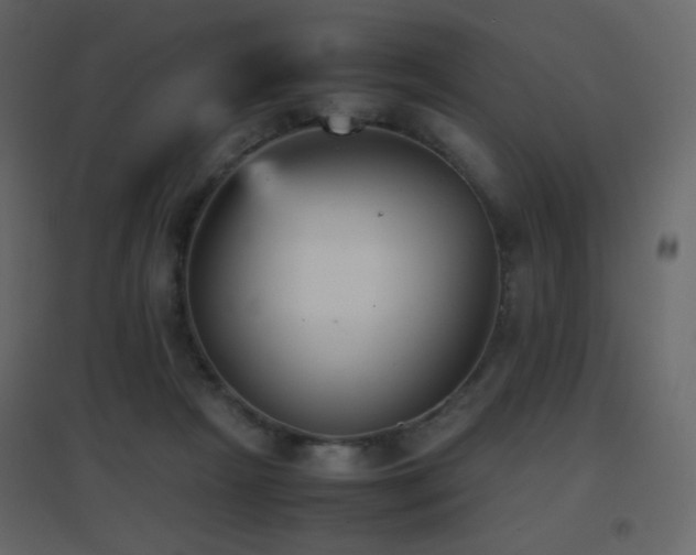 X0000096650265200802051202
