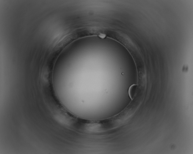 X0000096650266200802051202
