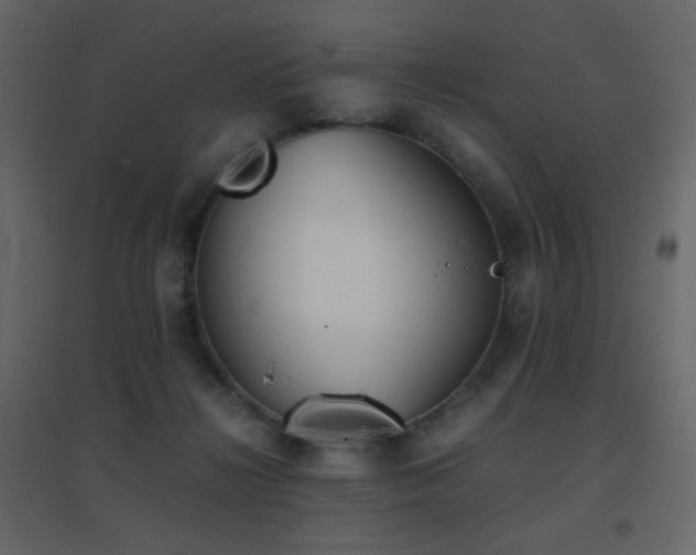 X0000096650268200802051202