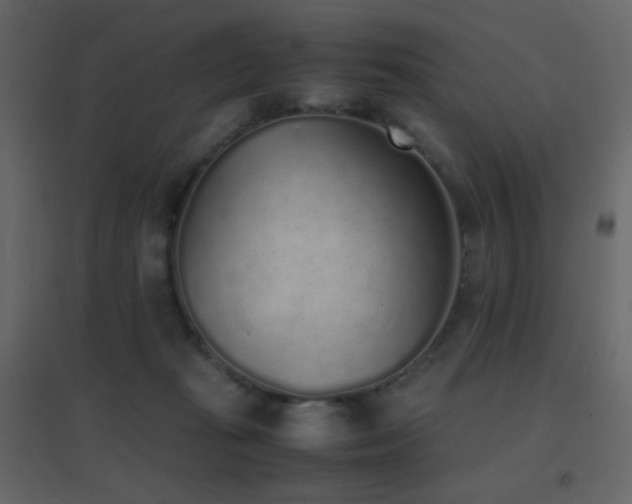 X0000096650269200802051202