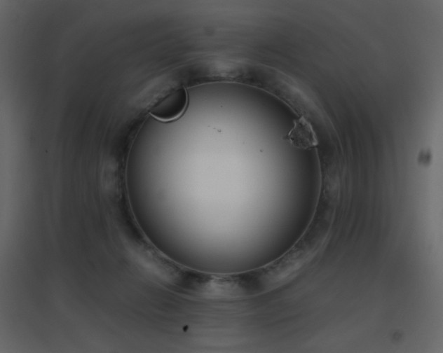 X0000096650270200802051202