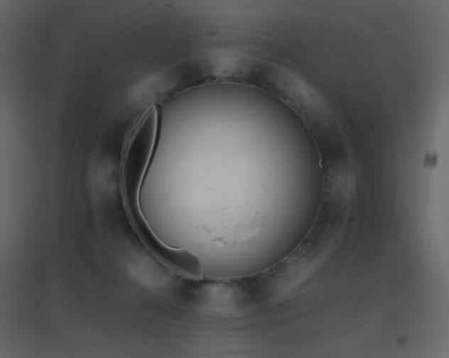 X0000096650272200802051202