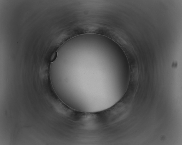 X0000096650274200802051202