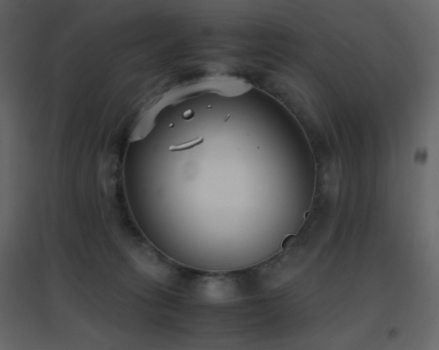 X0000096650275200802051202