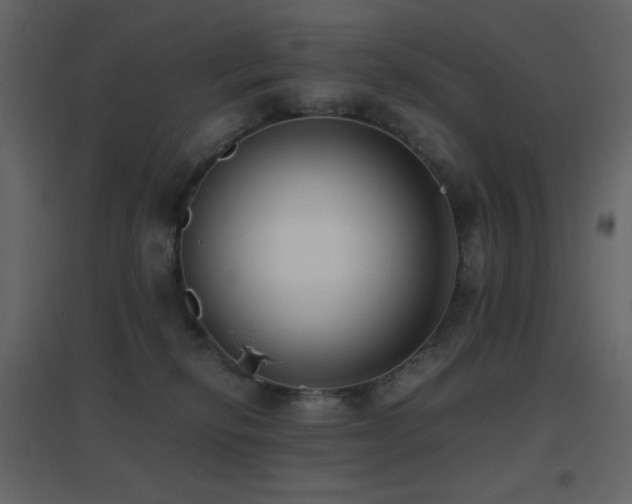 X0000096650278200802051202