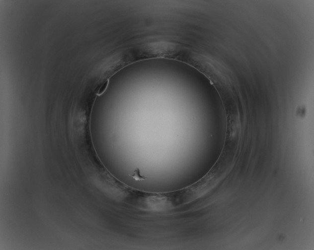 X0000096650279200802051202