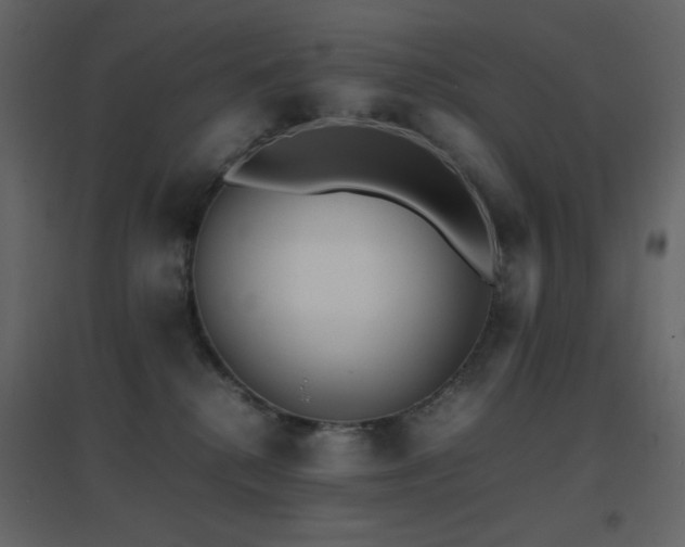 X0000096650280200802051202
