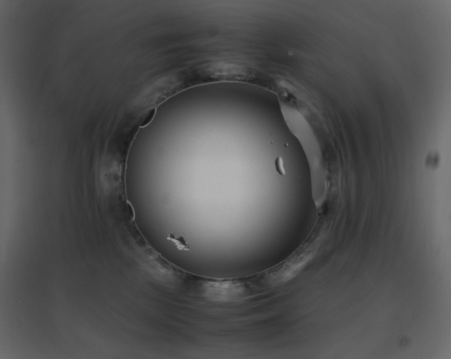 X0000096650281200802051202