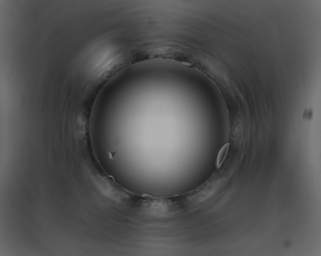 X0000096650282200802051202