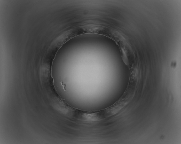 X0000096650283200802051202