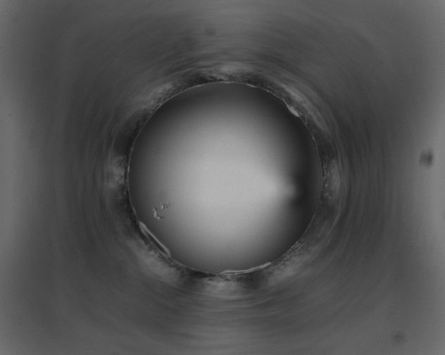 X0000096650284200802051202